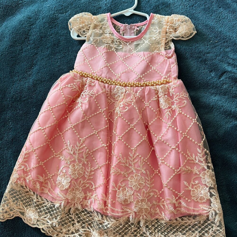 Fancy Party Dress - Size 18-24 mos